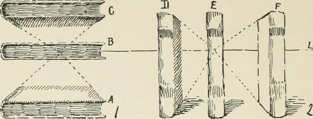 An illustration from Augsburg's drawing, book 2, 1901, leaf 47