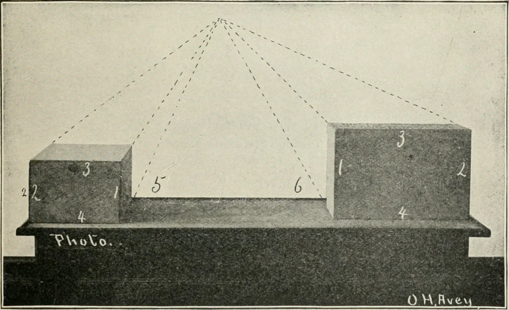 An illustration from Augsburg's drawing, book 2, 1901, leaf 50