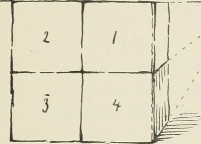 An illustration from Augsburg's drawing, book 2, 1901, leaf 52