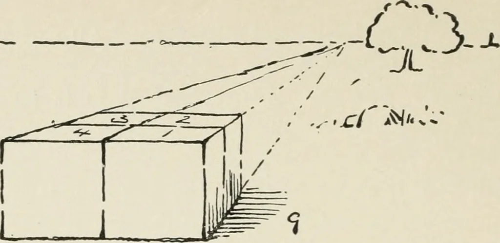 An illustration from Augsburg's drawing, book 2, 1901, leaf 53