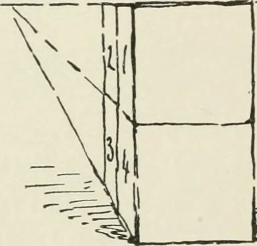 An illustration from Augsburg's drawing, book 2, 1901, leaf 53