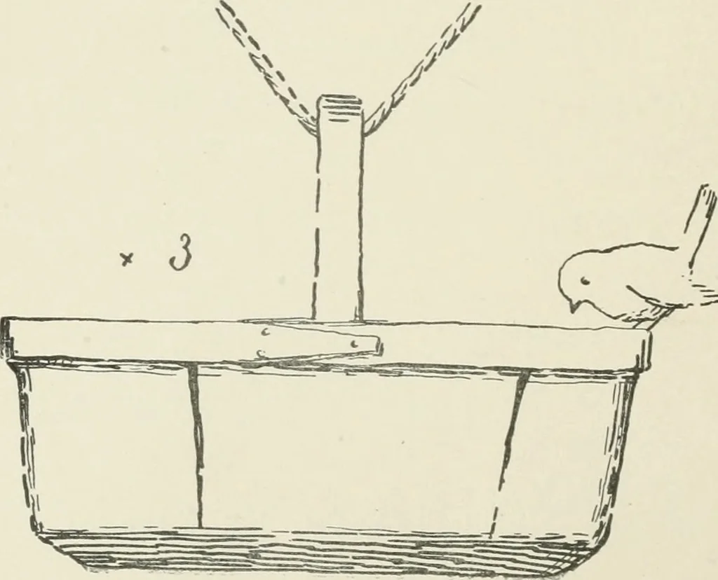An illustration from Augsburg's drawing, book 2, 1901, leaf 61