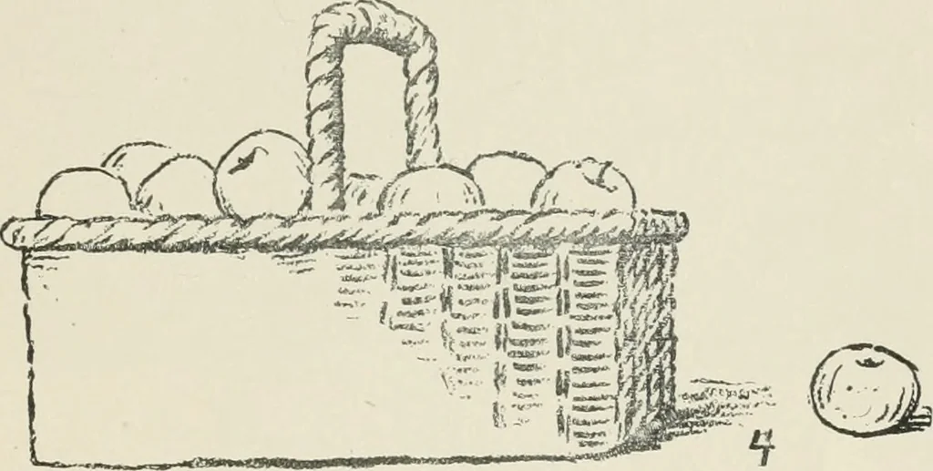 An illustration from Augsburg's drawing, book 2, 1901, leaf 62
