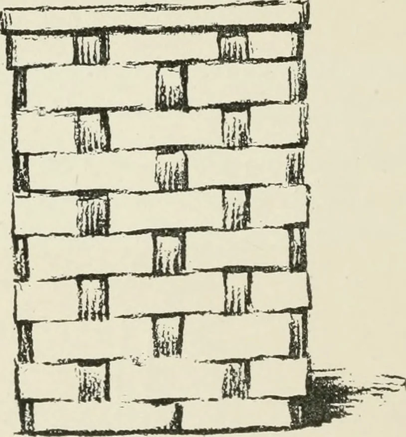 An illustration from Augsburg's drawing, book 2, 1901, leaf 63