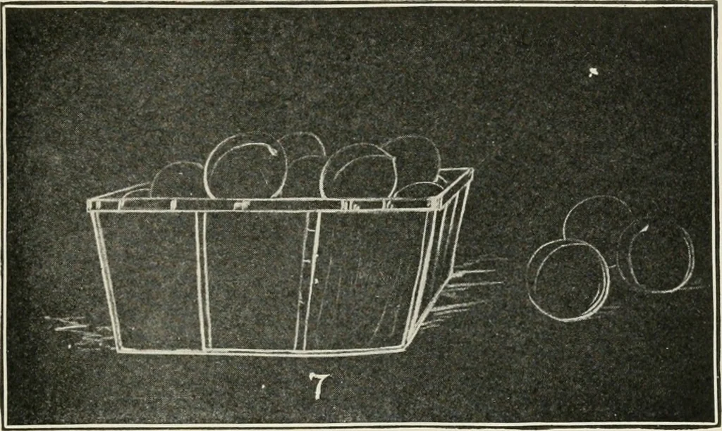 An illustration from Augsburg's drawing, book 2, 1901, leaf 64