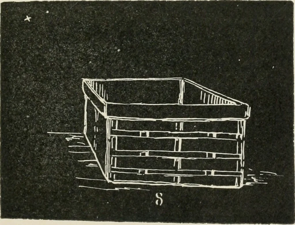 An illustration from Augsburg's drawing, book 2, 1901, leaf 64