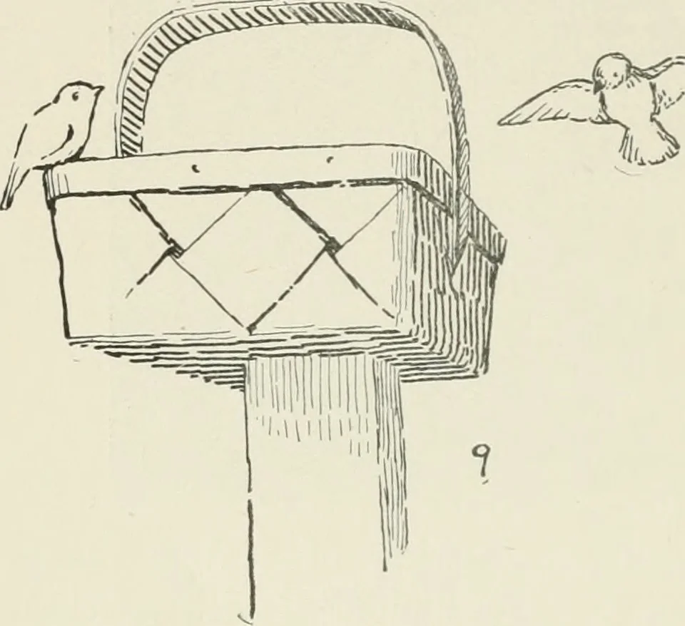 An illustration from Augsburg's drawing, book 2, 1901, leaf 65