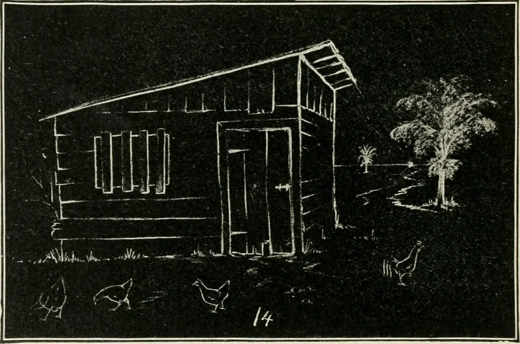 An illustration from Augsburg's drawing, book 2, 1901, leaf 69