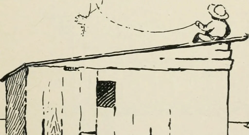An illustration from Augsburg's drawing, book 2, 1901, leaf 70