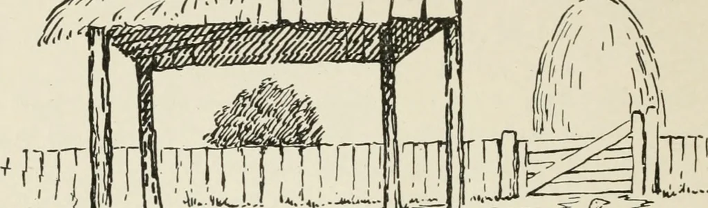 An illustration from Augsburg's drawing, book 2, 1901, leaf 71