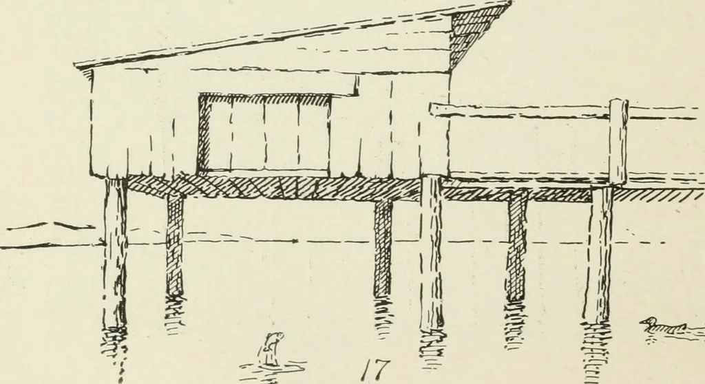 An illustration from Augsburg's drawing, book 2, 1901, leaf 71