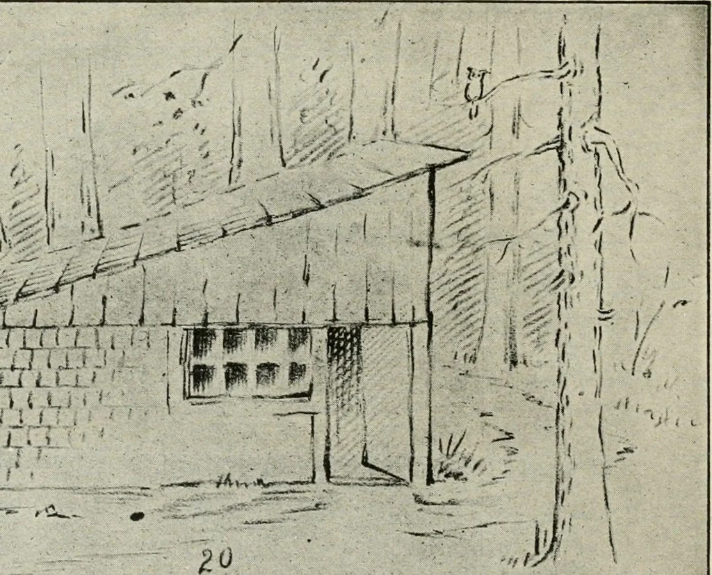 An illustration from Augsburg's drawing, book 2, 1901, leaf 73