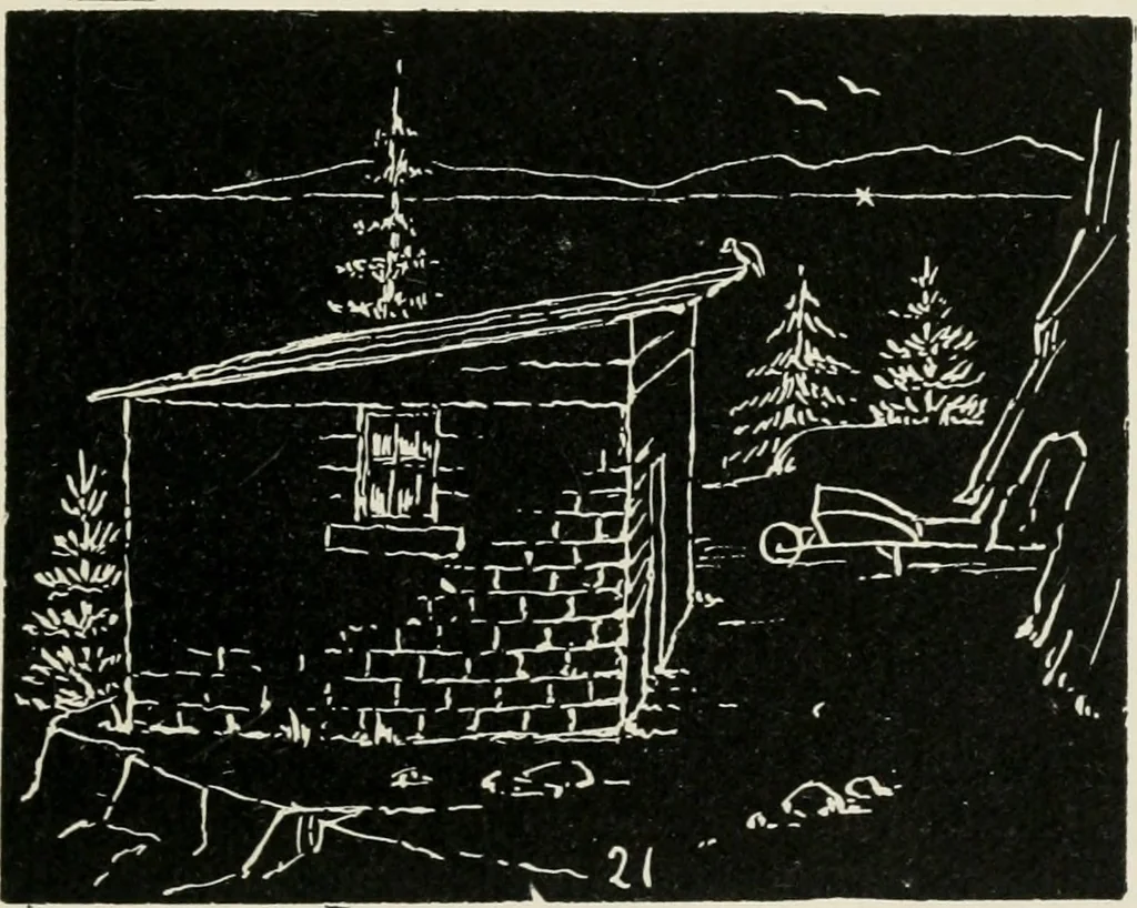 An illustration from Augsburg's drawing, book 2, 1901, leaf 74