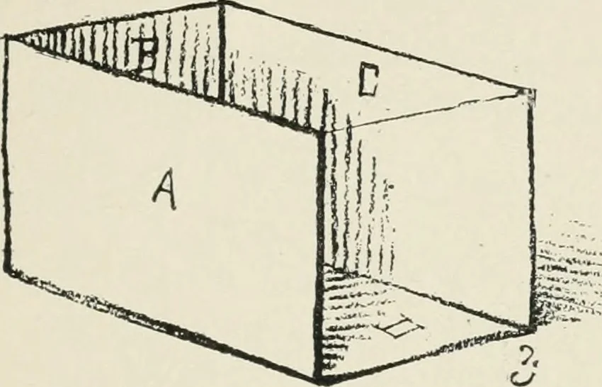 An illustration from Augsburg's drawing, book 2, 1901, leaf 78