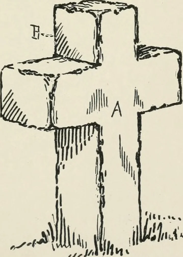 An illustration from Augsburg's drawing, book 2, 1901, leaf 82