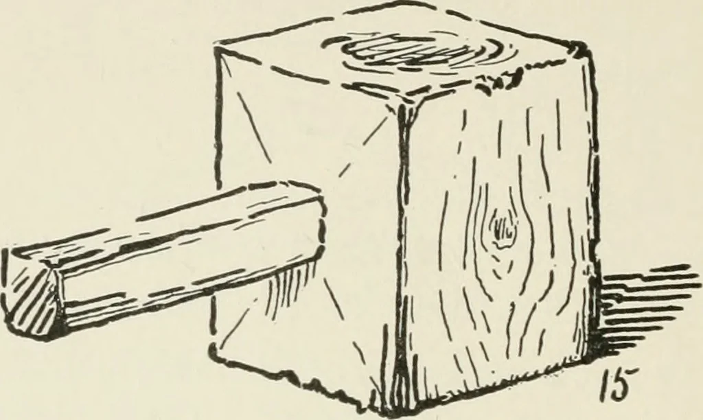 An illustration from Augsburg's drawing, book 2, 1901, leaf 83