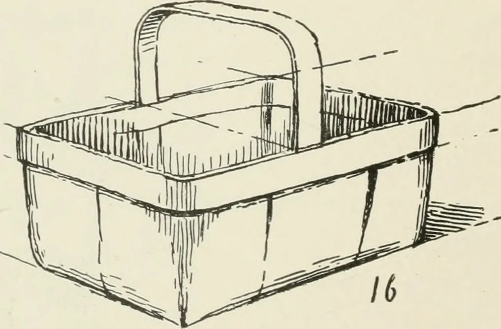 An illustration from Augsburg's drawing, book 2, 1901, leaf 83