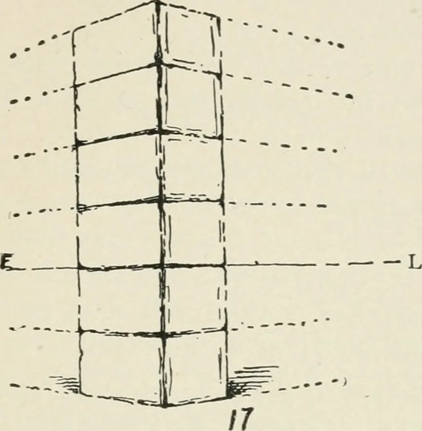 An illustration from Augsburg's drawing, book 2, 1901, leaf 84