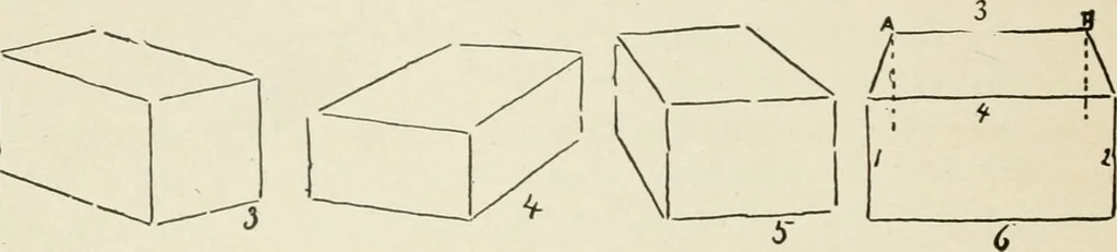 An illustration from Augsburg's drawing, book 2, 1901, leaf 89