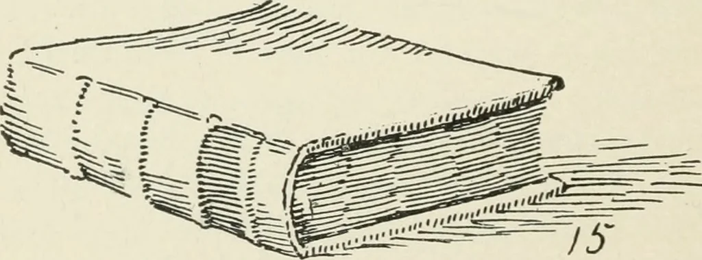 An illustration from Augsburg's drawing, book 2, 1901, leaf 91