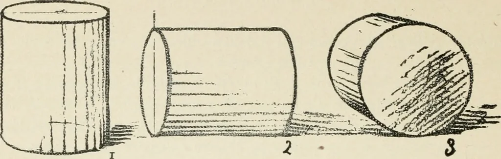 An illustration from Augsburg's drawing, book 2, 1901, leaf 95