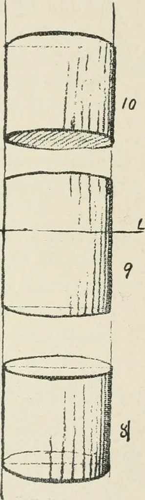 An illustration from Augsburg's drawing, book 2, 1901, leaf 96