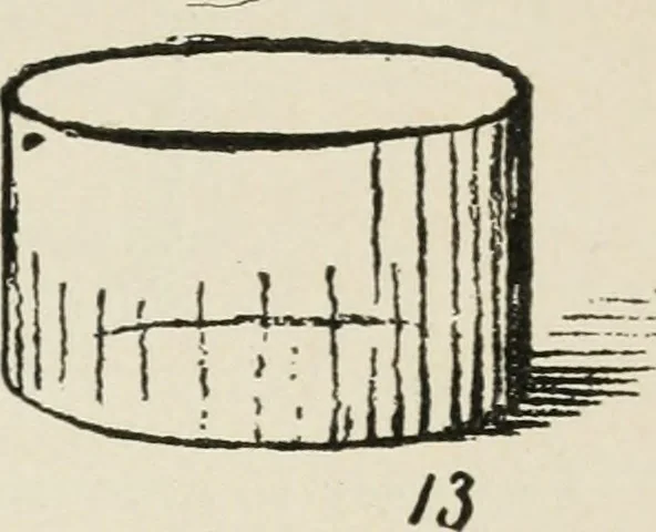An illustration from Augsburg's drawing, book 2, 1901, leaf 98
