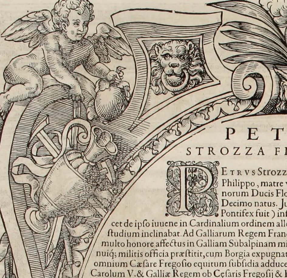 An illustration from Augustissimorum imperatorum, serenissimorum regum, atque archiducum, illustrissimorum principum, necnon comitum, baronum, nobilium, aliorumq[ue] clarissimorum virorum, qui aut ipsi cum imperio bellorum duces fuerunt, aut in iisdem præfecturis insignioribus laudabiliter functi sunt, verissimæ imagines, & rerum ab ipsis domi, forisq[ue] gestarum succinctæ descriptiones. Quorum arma, aut integra, aut horum partes, quibus induti, vsique aduersus hostem heroica facinora patrarunt, aut quorum auspiciis tàm prospera quàm aduersa fortuna res magnæ gestæ sunt, à serenissimo principe Ferdinando, archiduce Austriæ, duce Burgundiæ, comte Habspurgi & Tyrolis &c. ex omnibus ferè orbis terrarum prouinciis partim conquista, partim ab illorum hæredibus & successoribus transmissa, in celebri Ambrosianæ arcis armamentario, à sua serenitate non procul ciutate Oenipontana extructo, conspiciuntur, 1601, leaf 107