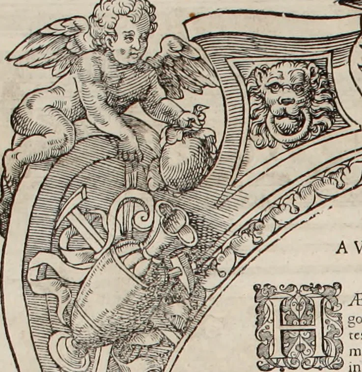 An illustration from Augustissimorum imperatorum, serenissimorum regum, atque archiducum, illustrissimorum principum, necnon comitum, baronum, nobilium, aliorumq[ue] clarissimorum virorum, qui aut ipsi cum imperio bellorum duces fuerunt, aut in iisdem præfecturis insignioribus laudabiliter functi sunt, verissimæ imagines, & rerum ab ipsis domi, forisq[ue] gestarum succinctæ descriptiones. Quorum arma, aut integra, aut horum partes, quibus induti, vsique aduersus hostem heroica facinora patrarunt, aut quorum auspiciis tàm prospera quàm aduersa fortuna res magnæ gestæ sunt, à serenissimo principe Ferdinando, archiduce Austriæ, duce Burgundiæ, comte Habspurgi & Tyrolis &c. ex omnibus ferè orbis terrarum prouinciis partim conquista, partim ab illorum hæredibus & successoribus transmissa, in celebri Ambrosianæ arcis armamentario, à sua serenitate non procul ciutate Oenipontana extructo, conspiciuntur, 1601, leaf 131