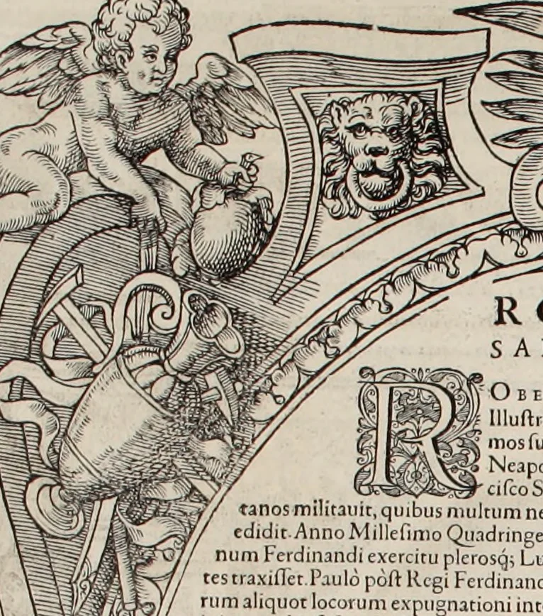 An illustration from Augustissimorum imperatorum, serenissimorum regum, atque archiducum, illustrissimorum principum, necnon comitum, baronum, nobilium, aliorumq[ue] clarissimorum virorum, qui aut ipsi cum imperio bellorum duces fuerunt, aut in iisdem præfecturis insignioribus laudabiliter functi sunt, verissimæ imagines, & rerum ab ipsis domi, forisq[ue] gestarum succinctæ descriptiones. Quorum arma, aut integra, aut horum partes, quibus induti, vsique aduersus hostem heroica facinora patrarunt, aut quorum auspiciis tàm prospera quàm aduersa fortuna res magnæ gestæ sunt, à serenissimo principe Ferdinando, archiduce Austriæ, duce Burgundiæ, comte Habspurgi & Tyrolis &c. ex omnibus ferè orbis terrarum prouinciis partim conquista, partim ab illorum hæredibus & successoribus transmissa, in celebri Ambrosianæ arcis armamentario, à sua serenitate non procul ciutate Oenipontana extructo, conspiciuntur, 1601, leaf 151