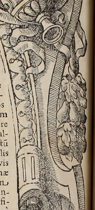 An illustration from Augustissimorum imperatorum, serenissimorum regum, atque archiducum, illustrissimorum principum, necnon comitum, baronum, nobilium, aliorumq[ue] clarissimorum virorum, qui aut ipsi cum imperio bellorum duces fuerunt, aut in iisdem præfecturis insignioribus laudabiliter functi sunt, verissimæ imagines, & rerum ab ipsis domi, forisq[ue] gestarum succinctæ descriptiones. Quorum arma, aut integra, aut horum partes, quibus induti, vsique aduersus hostem heroica facinora patrarunt, aut quorum auspiciis tàm prospera quàm aduersa fortuna res magnæ gestæ sunt, à serenissimo principe Ferdinando, archiduce Austriæ, duce Burgundiæ, comte Habspurgi & Tyrolis &c. ex omnibus ferè orbis terrarum prouinciis partim conquista, partim ab illorum hæredibus & successoribus transmissa, in celebri Ambrosianæ arcis armamentario, à sua serenitate non procul ciutate Oenipontana extructo, conspiciuntur, 1601, leaf 161