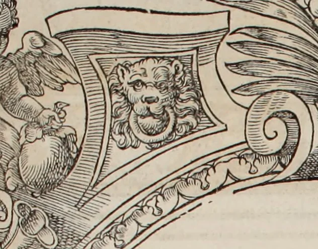 An illustration from Augustissimorum imperatorum, serenissimorum regum, atque archiducum, illustrissimorum principum, necnon comitum, baronum, nobilium, aliorumq[ue] clarissimorum virorum, qui aut ipsi cum imperio bellorum duces fuerunt, aut in iisdem præfecturis insignioribus laudabiliter functi sunt, verissimæ imagines, & rerum ab ipsis domi, forisq[ue] gestarum succinctæ descriptiones. Quorum arma, aut integra, aut horum partes, quibus induti, vsique aduersus hostem heroica facinora patrarunt, aut quorum auspiciis tàm prospera quàm aduersa fortuna res magnæ gestæ sunt, à serenissimo principe Ferdinando, archiduce Austriæ, duce Burgundiæ, comte Habspurgi & Tyrolis &c. ex omnibus ferè orbis terrarum prouinciis partim conquista, partim ab illorum hæredibus & successoribus transmissa, in celebri Ambrosianæ arcis armamentario, à sua serenitate non procul ciutate Oenipontana extructo, conspiciuntur, 1601, leaf 209