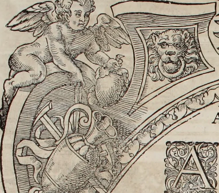 An illustration from Augustissimorum imperatorum, serenissimorum regum, atque archiducum, illustrissimorum principum, necnon comitum, baronum, nobilium, aliorumq[ue] clarissimorum virorum, qui aut ipsi cum imperio bellorum duces fuerunt, aut in iisdem præfecturis insignioribus laudabiliter functi sunt, verissimæ imagines, & rerum ab ipsis domi, forisq[ue] gestarum succinctæ descriptiones. Quorum arma, aut integra, aut horum partes, quibus induti, vsique aduersus hostem heroica facinora patrarunt, aut quorum auspiciis tàm prospera quàm aduersa fortuna res magnæ gestæ sunt, à serenissimo principe Ferdinando, archiduce Austriæ, duce Burgundiæ, comte Habspurgi & Tyrolis &c. ex omnibus ferè orbis terrarum prouinciis partim conquista, partim ab illorum hæredibus & successoribus transmissa, in celebri Ambrosianæ arcis armamentario, à sua serenitate non procul ciutate Oenipontana extructo, conspiciuntur, 1601, leaf 223