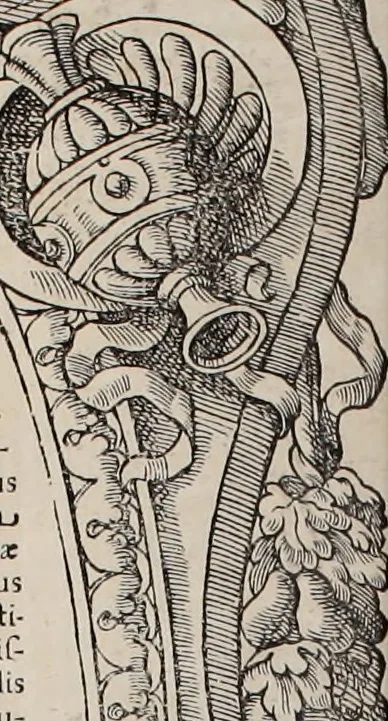 An illustration from Augustissimorum imperatorum, serenissimorum regum, atque archiducum, illustrissimorum principum, necnon comitum, baronum, nobilium, aliorumq[ue] clarissimorum virorum, qui aut ipsi cum imperio bellorum duces fuerunt, aut in iisdem præfecturis insignioribus laudabiliter functi sunt, verissimæ imagines, & rerum ab ipsis domi, forisq[ue] gestarum succinctæ descriptiones. Quorum arma, aut integra, aut horum partes, quibus induti, vsique aduersus hostem heroica facinora patrarunt, aut quorum auspiciis tàm prospera quàm aduersa fortuna res magnæ gestæ sunt, à serenissimo principe Ferdinando, archiduce Austriæ, duce Burgundiæ, comte Habspurgi & Tyrolis &c. ex omnibus ferè orbis terrarum prouinciis partim conquista, partim ab illorum hæredibus & successoribus transmissa, in celebri Ambrosianæ arcis armamentario, à sua serenitate non procul ciutate Oenipontana extructo, conspiciuntur, 1601, leaf 233