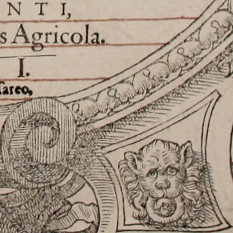 An illustration from Augustissimorum imperatorum, serenissimorum regum, atque archiducum, illustrissimorum principum, necnon comitum, baronum, nobilium, aliorumq[ue] clarissimorum virorum, qui aut ipsi cum imperio bellorum duces fuerunt, aut in iisdem præfecturis insignioribus laudabiliter functi sunt, verissimæ imagines, & rerum ab ipsis domi, forisq[ue] gestarum succinctæ descriptiones. Quorum arma, aut integra, aut horum partes, quibus induti, vsique aduersus hostem heroica facinora patrarunt, aut quorum auspiciis tàm prospera quàm aduersa fortuna res magnæ gestæ sunt, à serenissimo principe Ferdinando, archiduce Austriæ, duce Burgundiæ, comte Habspurgi & Tyrolis &c. ex omnibus ferè orbis terrarum prouinciis partim conquista, partim ab illorum hæredibus & successoribus transmissa, in celebri Ambrosianæ arcis armamentario, à sua serenitate non procul ciutate Oenipontana extructo, conspiciuntur, 1601, leaf 6