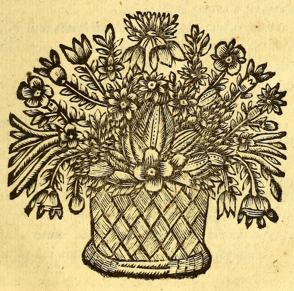 An illustration from Augustissimo Ioanni IV. Lusitanorum regi., 1677, leaf 19