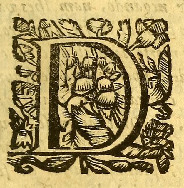 An illustration from Augustissimo Ioanni IV. Lusitanorum regi., 1677, leaf 21