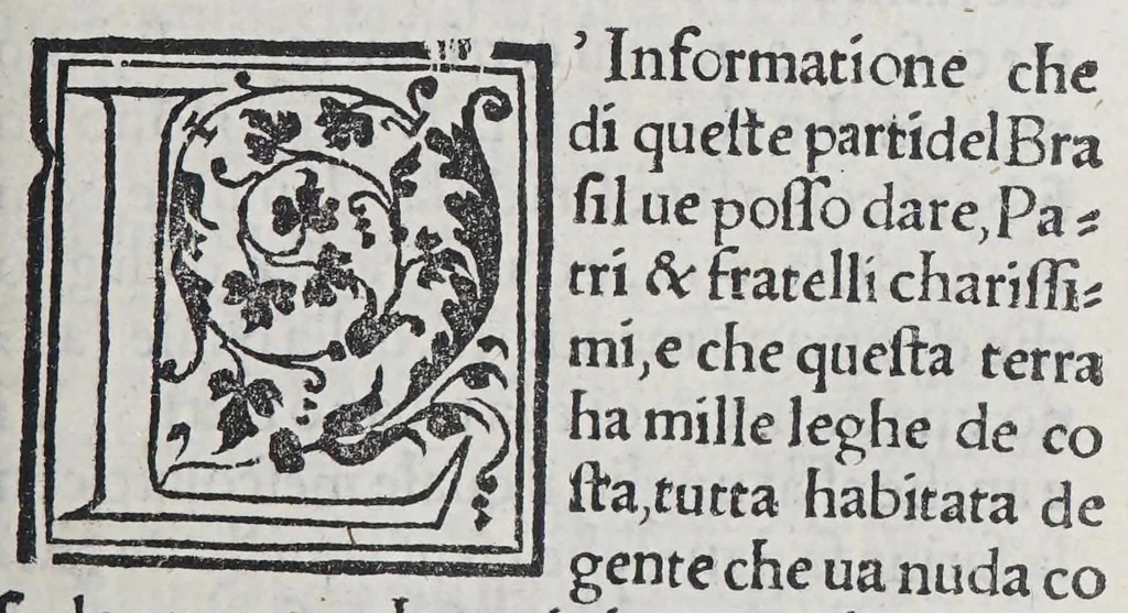 An illustration from Auisi particolari delle Indie di Portugallo riceuuti in questi doi anni del .1551. & 1552. da li reuere[n]di padri de la Co[m]pagnia de Iesu, : doue fra molte cose mirabili, si uede delli paesi, delle genti, & costumi loro & la grande co[n]uersioue [sic] di molti populi, che cominciano a riceuere il lume della sa[n]ta fede & relligione [sic] Christiana, 1552, leaf 109