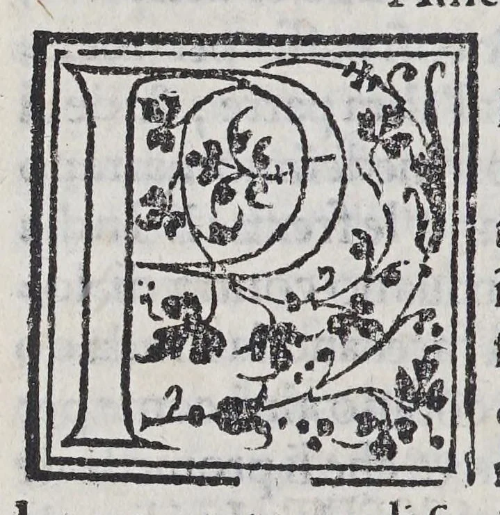 An illustration from Auisi particolari delle Indie di Portugallo riceuuti in questi doi anni del .1551. & 1552. da li reuere[n]di padri de la Co[m]pagnia de Iesu, : doue fra molte cose mirabili, si uede delli paesi, delle genti, & costumi loro & la grande co[n]uersioue [sic] di molti populi, che cominciano a riceuere il lume della sa[n]ta fede & relligione [sic] Christiana, 1552, leaf 118