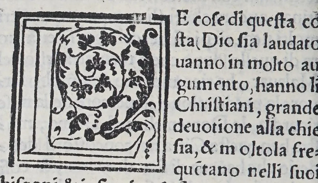 An illustration from Auisi particolari delle Indie di Portugallo riceuuti in questi doi anni del .1551. & 1552. da li reuere[n]di padri de la Co[m]pagnia de Iesu, : doue fra molte cose mirabili, si uede delli paesi, delle genti, & costumi loro & la grande co[n]uersioue [sic] di molti populi, che cominciano a riceuere il lume della sa[n]ta fede & relligione [sic] Christiana, 1552, leaf 224