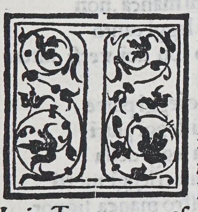 An illustration from Auisi particolari delle Indie di Portugallo riceuuti in questi doi anni del .1551. & 1552. da li reuere[n]di padri de la Co[m]pagnia de Iesu, : doue fra molte cose mirabili, si uede delli paesi, delle genti, & costumi loro & la grande co[n]uersioue [sic] di molti populi, che cominciano a riceuere il lume della sa[n]ta fede & relligione [sic] Christiana, 1552, leaf 267