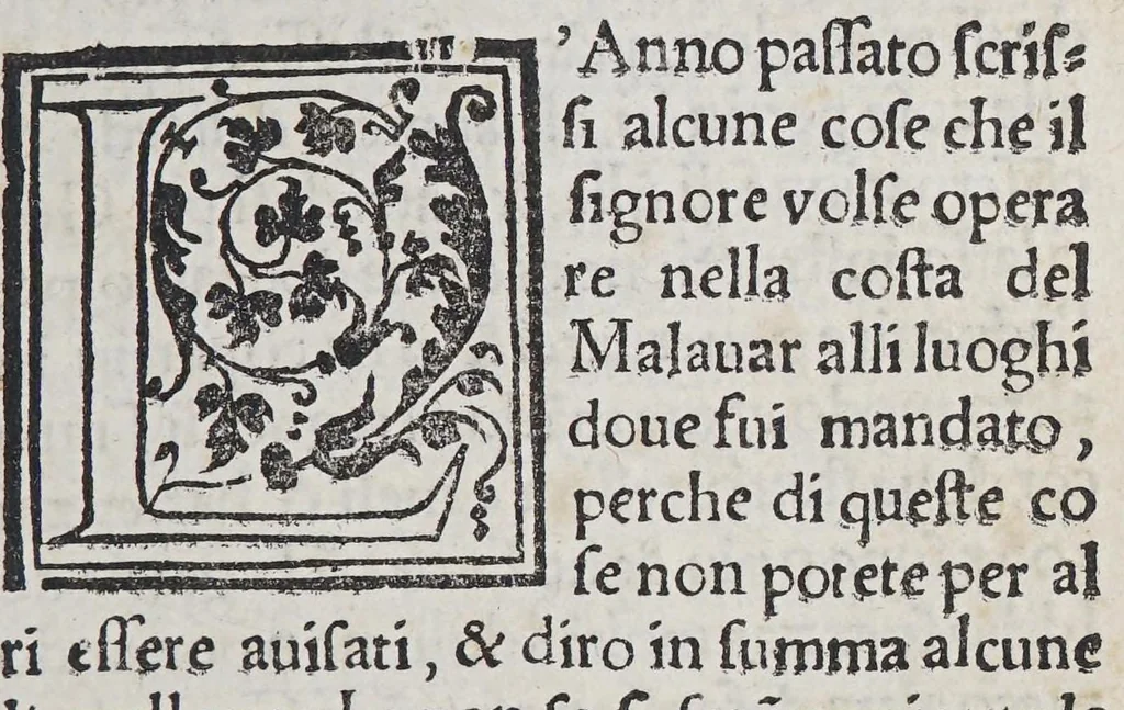 An illustration from Auisi particolari delle Indie di Portugallo riceuuti in questi doi anni del .1551. & 1552. da li reuere[n]di padri de la Co[m]pagnia de Iesu, : doue fra molte cose mirabili, si uede delli paesi, delle genti, & costumi loro & la grande co[n]uersioue [sic] di molti populi, che cominciano a riceuere il lume della sa[n]ta fede & relligione [sic] Christiana, 1552, leaf 167