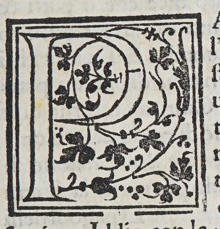 An illustration from Auisi particolari delle Indie di Portugallo riceuuti in questi doi anni del .1551. & 1552. da li reuere[n]di padri de la Co[m]pagnia de Iesu, : doue fra molte cose mirabili, si uede delli paesi, delle genti, & costumi loro & la grande co[n]uersioue [sic] di molti populi, che cominciano a riceuere il lume della sa[n]ta fede & relligione [sic] Christiana, 1552, leaf 171