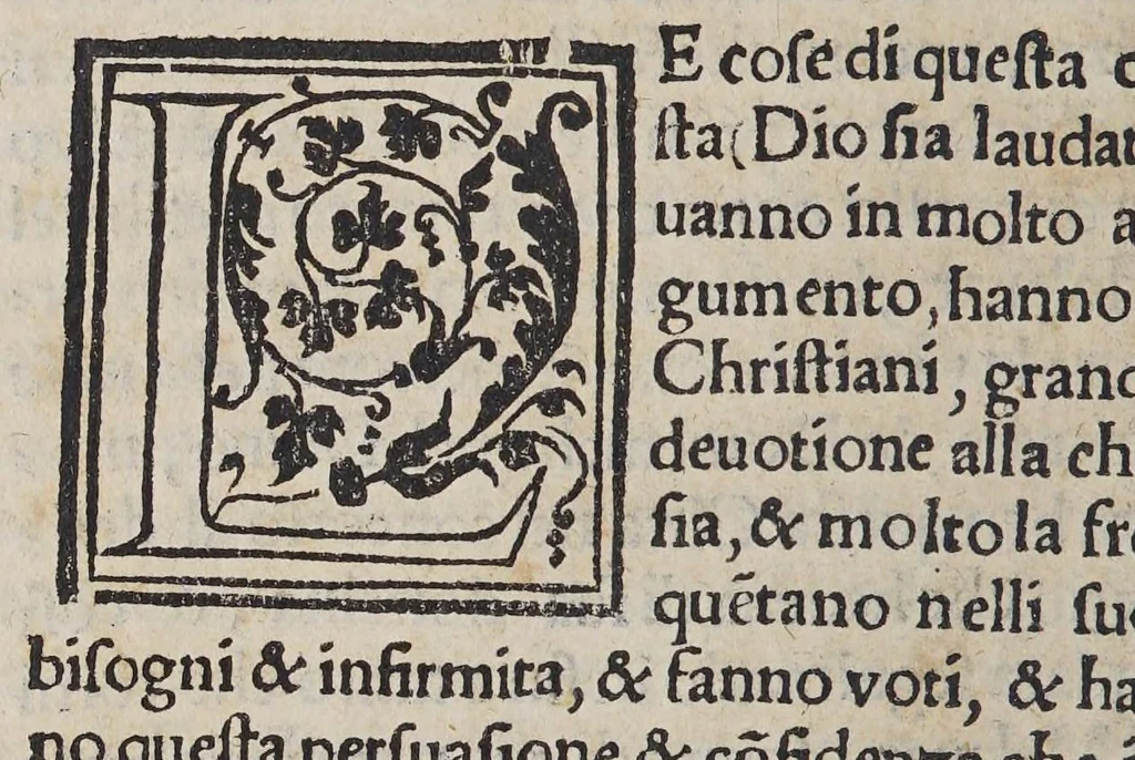 An illustration from Auisi particolari delle Indie di Portugallo riceuuti in questi doi anni del .1551. & 1552. da li reuere[n]di padri de la Co[m]pagnia de Iesu, : doue fra molte cose mirabili, si uede delli paesi, delle genti, & costumi loro & la grande co[n]uersioue [sic] di molti populi, che cominciano a riceuere il lume della sa[n]ta fede & relligione [sic] Christiana, 1552, leaf 228