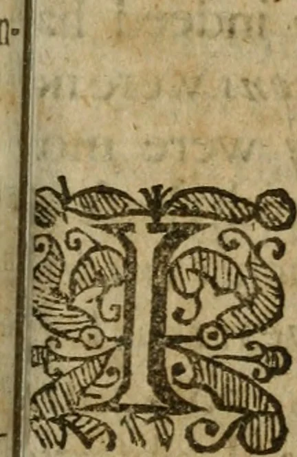 An illustration from Aula lucis, or, The house of light : a discourse written in the year 1651, 1652, leaf 14