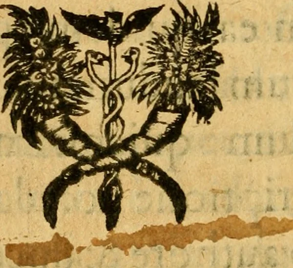 An illustration from Aureliae urbis Anglicana obsidio, : et simul res gestae Ioannae Darciae vulgò Puellae Aurelianensis., 1631, leaf 17
