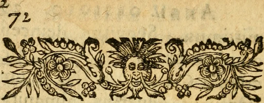 An illustration from Aureliae urbis Anglicana obsidio, : et simul res gestae Ioannae Darciae vulgò Puellae Aurelianensis., 1631, leaf 300
