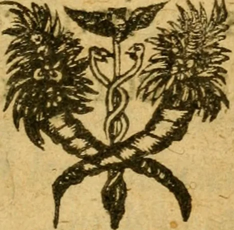 An illustration from Aureliae urbis Anglicana obsidio, : et simul res gestae Ioannae Darciae vulgò Puellae Aurelianensis., 1631, leaf 4