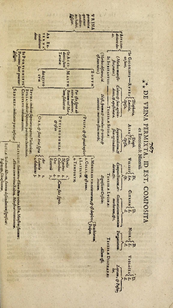 An illustration from Aureoli Philippi Theophrasti Bombasts von Hohenheim Paracelsi ... Opera Bücher vnd Schrifften : so viel deren zur Hand gebracht, vnd vor wenig Jahren, mit vnd auss ihren glaubwürdigen eygener handgeschriebenen Originalien, collacioniert, vergleichen, verbessert, 1616, leaf 783