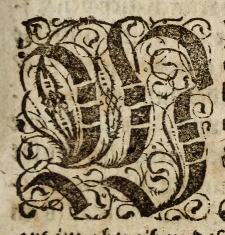 An illustration from Aureum vellus, oder, Guldin Schatz und Kunstkam[m]er : darinnen der aller fürnemisten, fürtreffenlichsten, ausserlesenesten, herrlichisten vnd bewehrteste[n] Auctorum Schrifften vnd Bücher, auss dem gar vralte[n] Schatz vberblibnen verborgnen, hinderhaltenen Reliquien vnd Monumenten der Aegyptiorum, Arabum, Chaldaeorum & Assyriorum Königen vnd Weysen, 1598, leaf 209